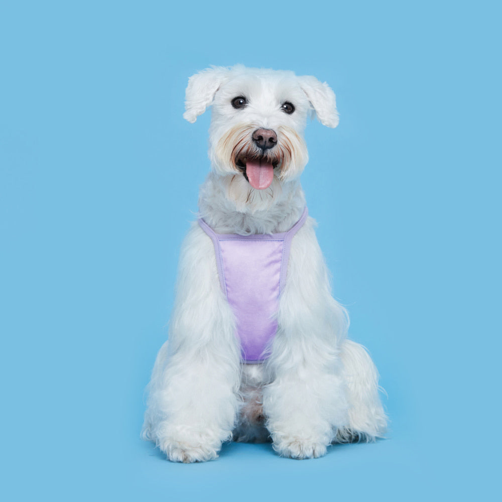 #color_violet