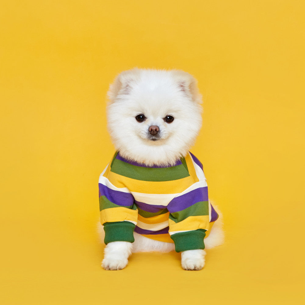 #color_yellow/purple