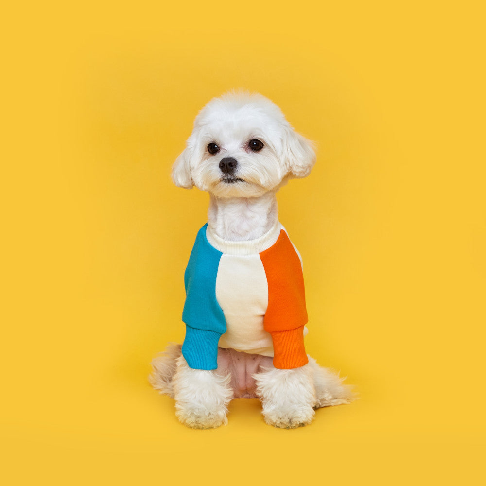 LINE SWEATSHIRT MTM IVORYMINT