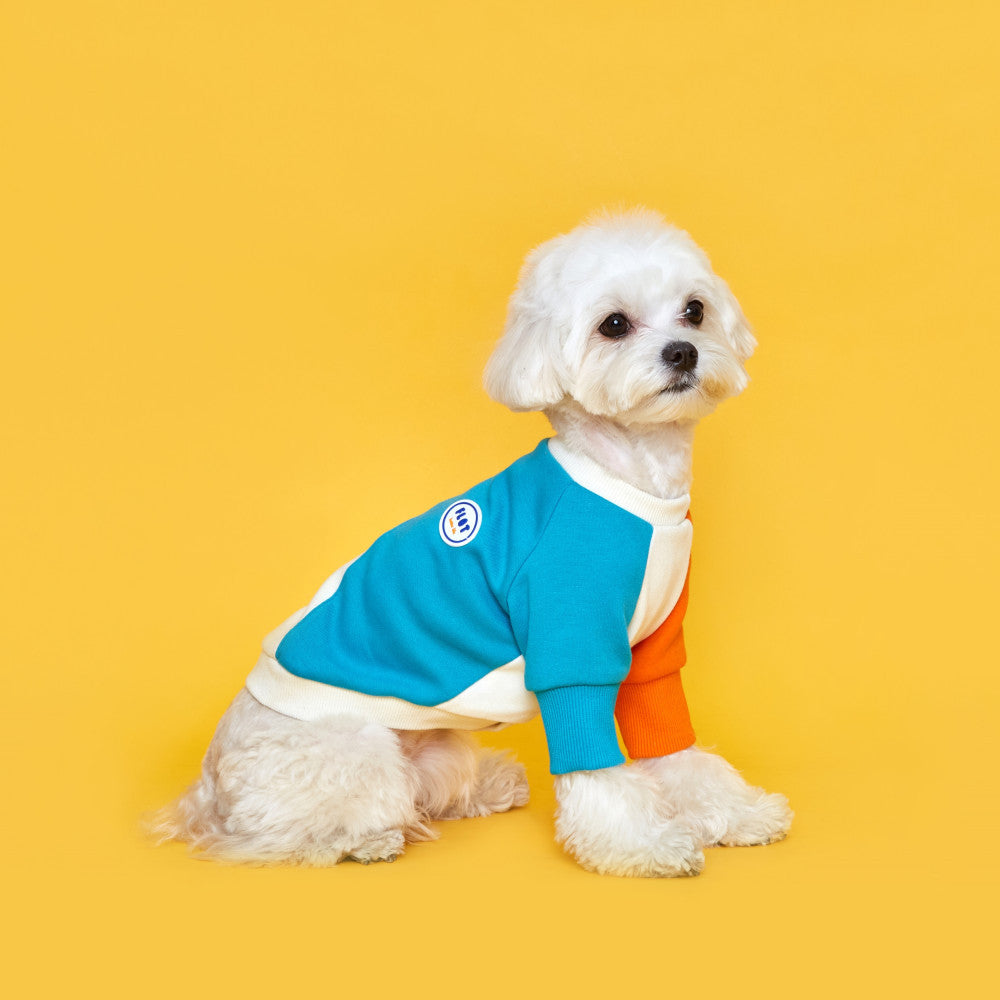 LINE SWEATSHIRT MTM IVORYMINT