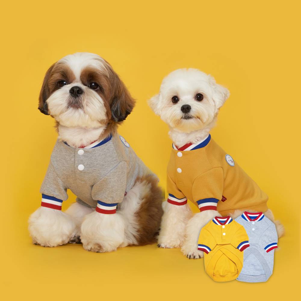 #color_yellow