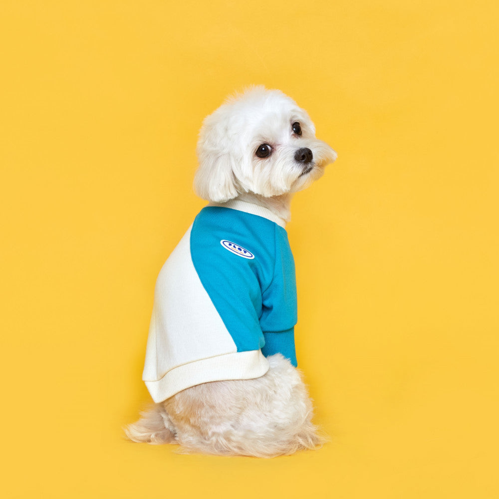 LINE SWEATSHIRT MTM IVORYMINT