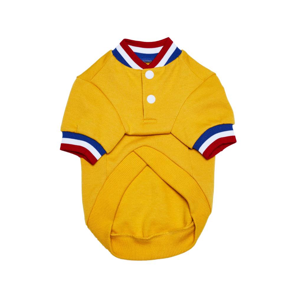 #color_yellow