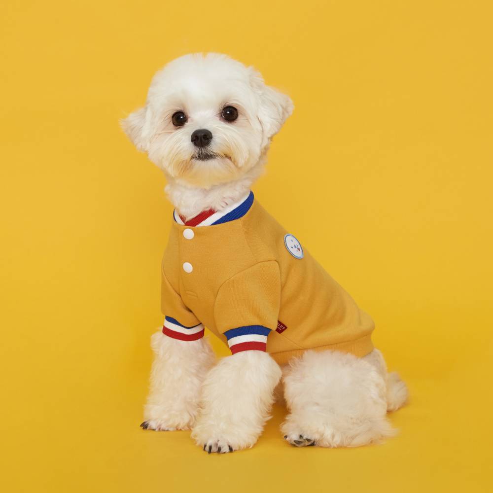 #color_yellow