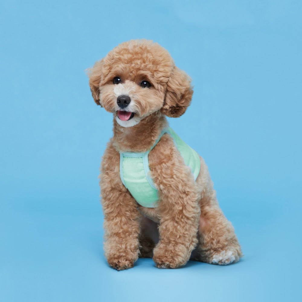 #color_mint